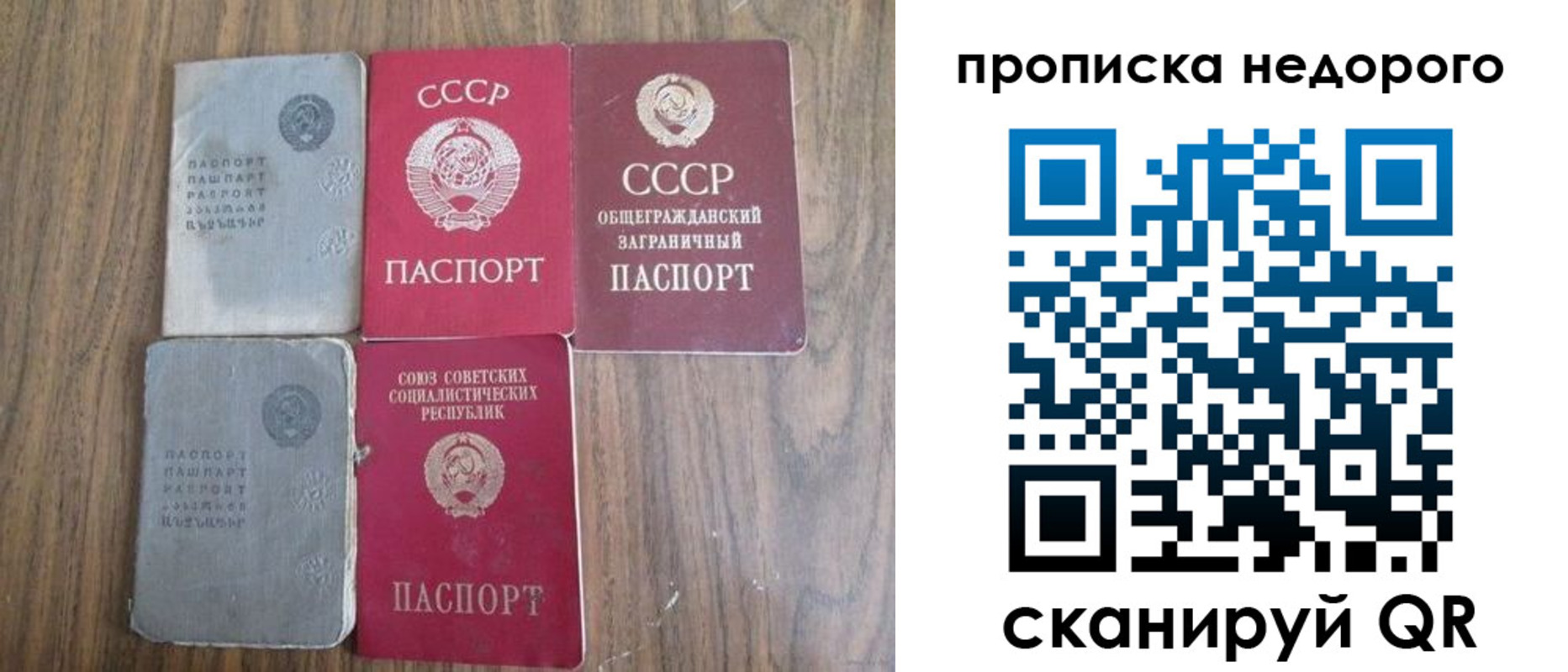 временная регистрация поиск в Королёве